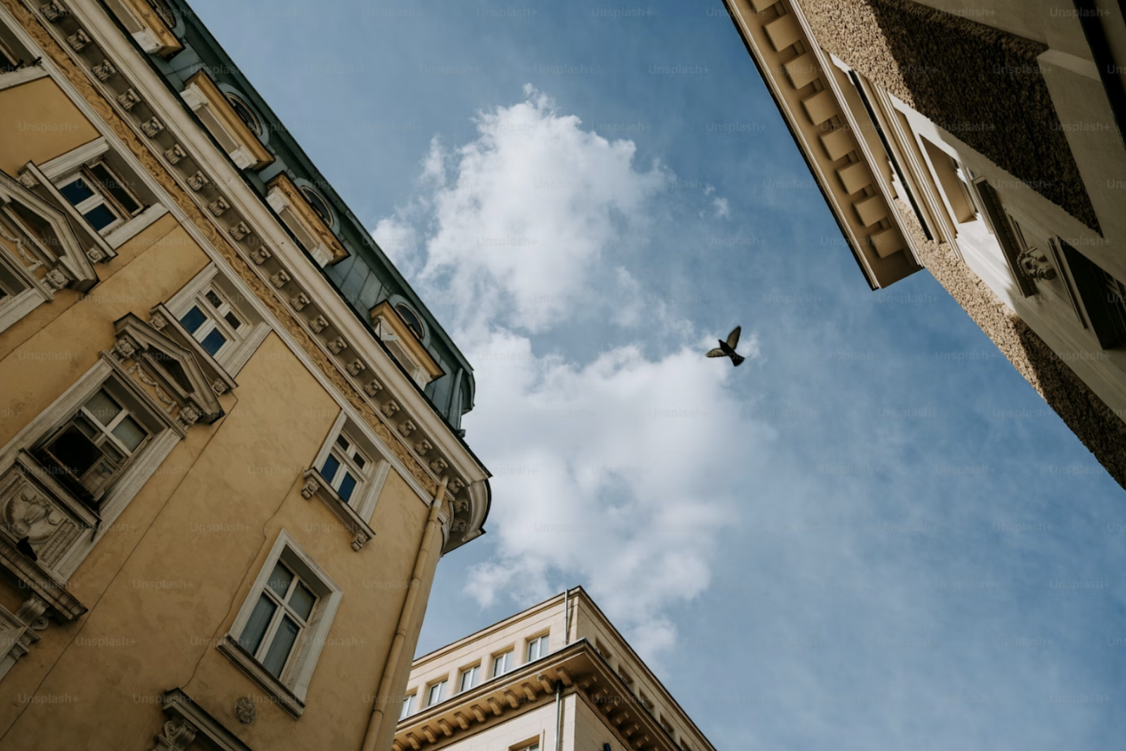 SCPI et profil de risque